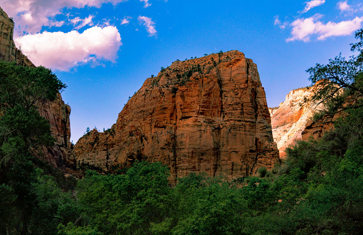 Angels Landing from the Virgin River Bank Evening by Rodney Buxton 