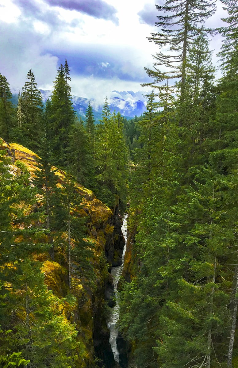 Muddy Fork of the Cowlitz River from Box Canyon Morning by Rodney Buxton 