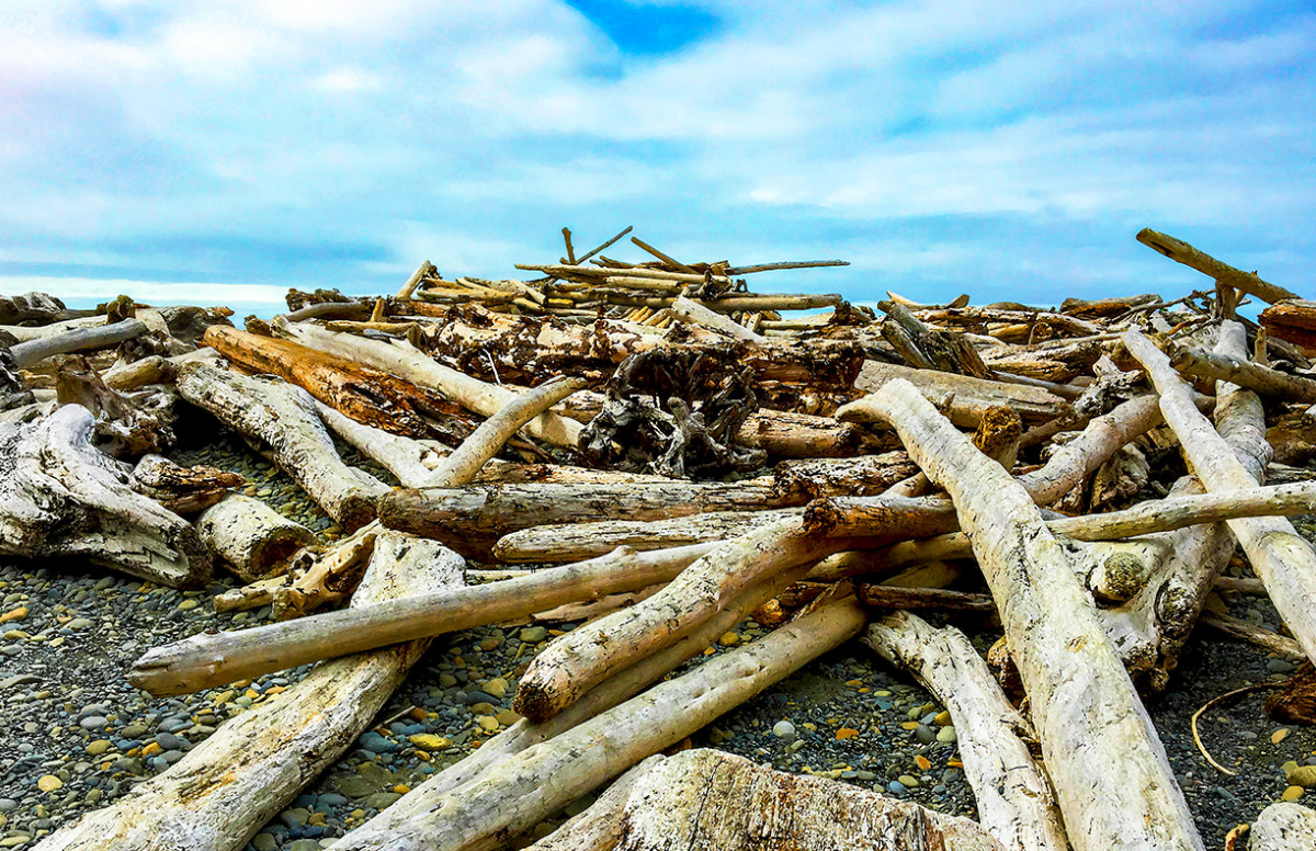 Driftwood Pile at Ruby Beach Afternoon by Rodney Buxton 