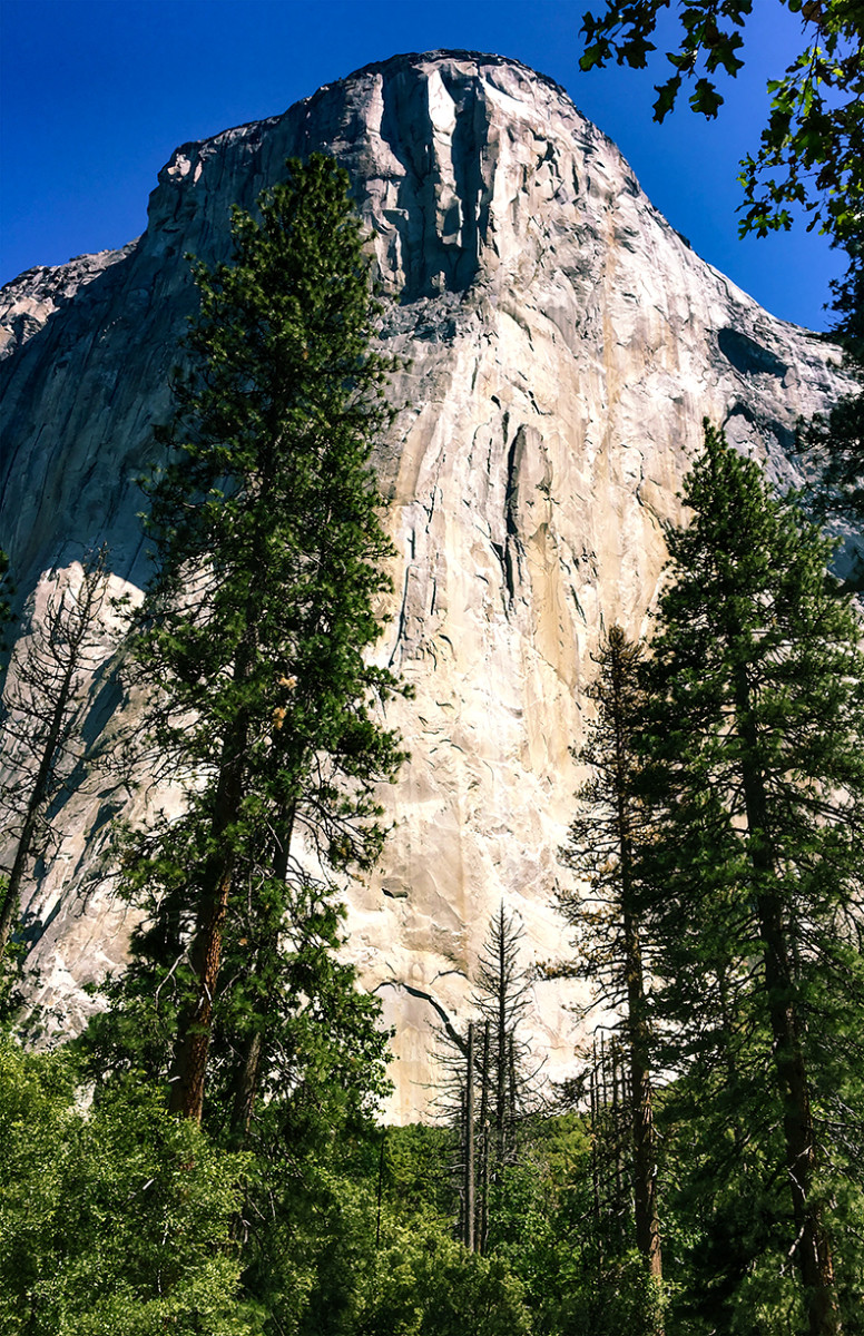 El Capitan Morning by Rodney Buxton 