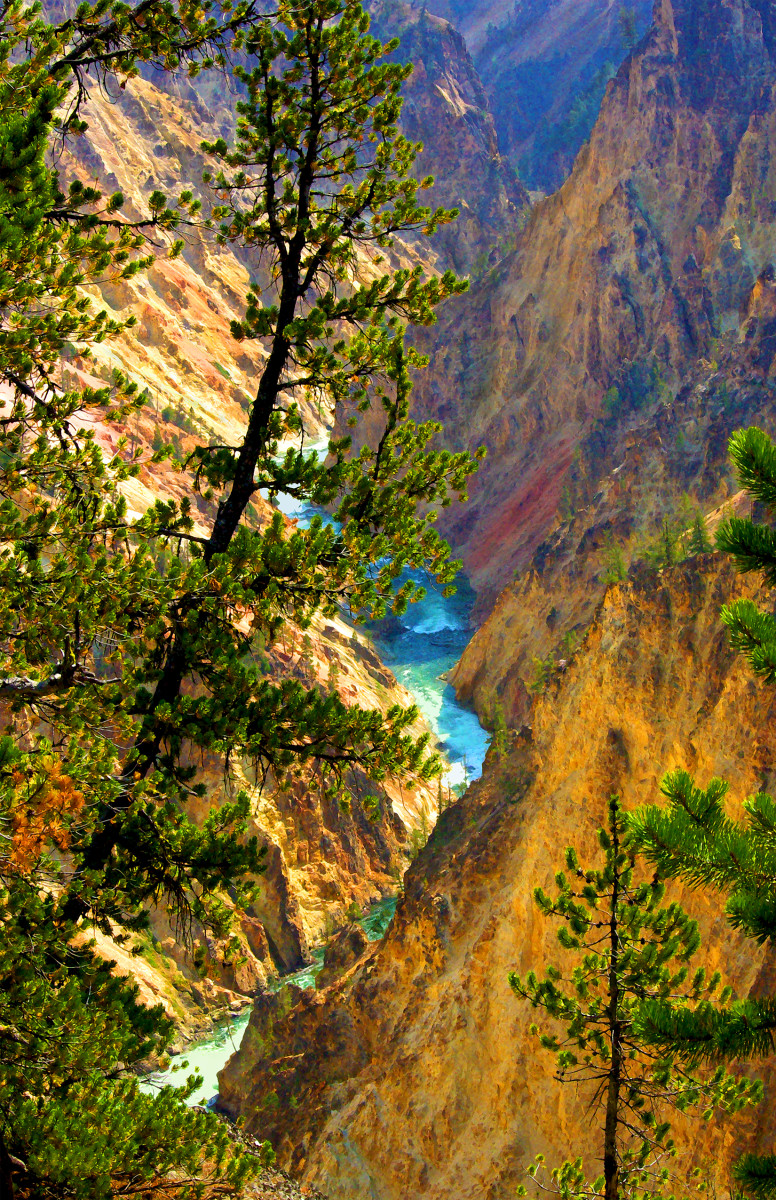 Grand Canyon of the Yellowstone River Morning by Rodney Buxton 