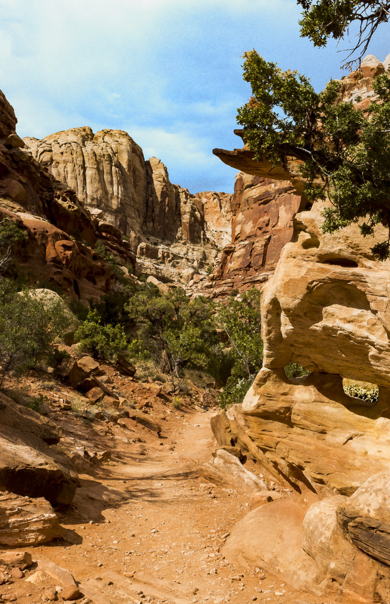 Grand Wash West Entrance Afternoon by Rodney Buxton 