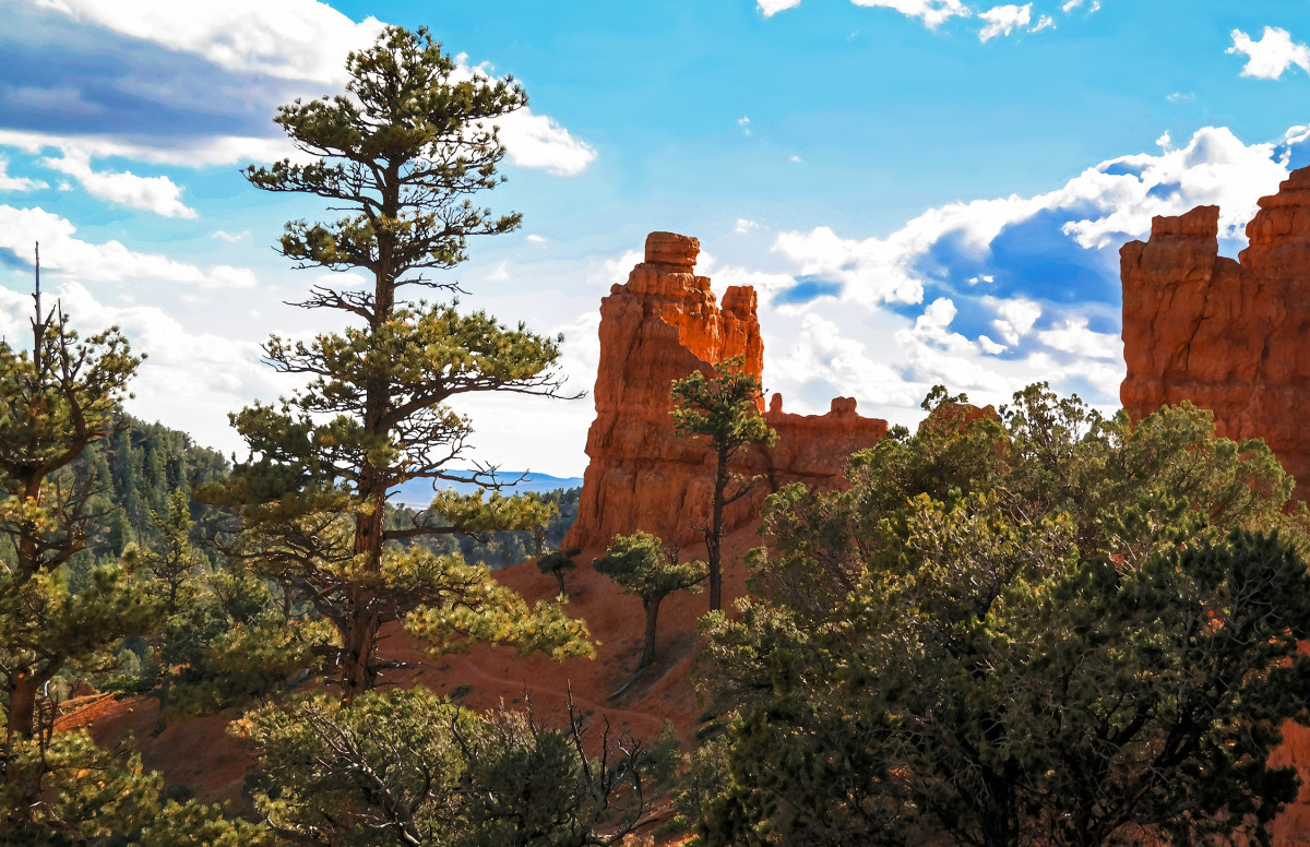 Hoodoo Loop Trail, Red Canyon Evening by Rodney Buxton 