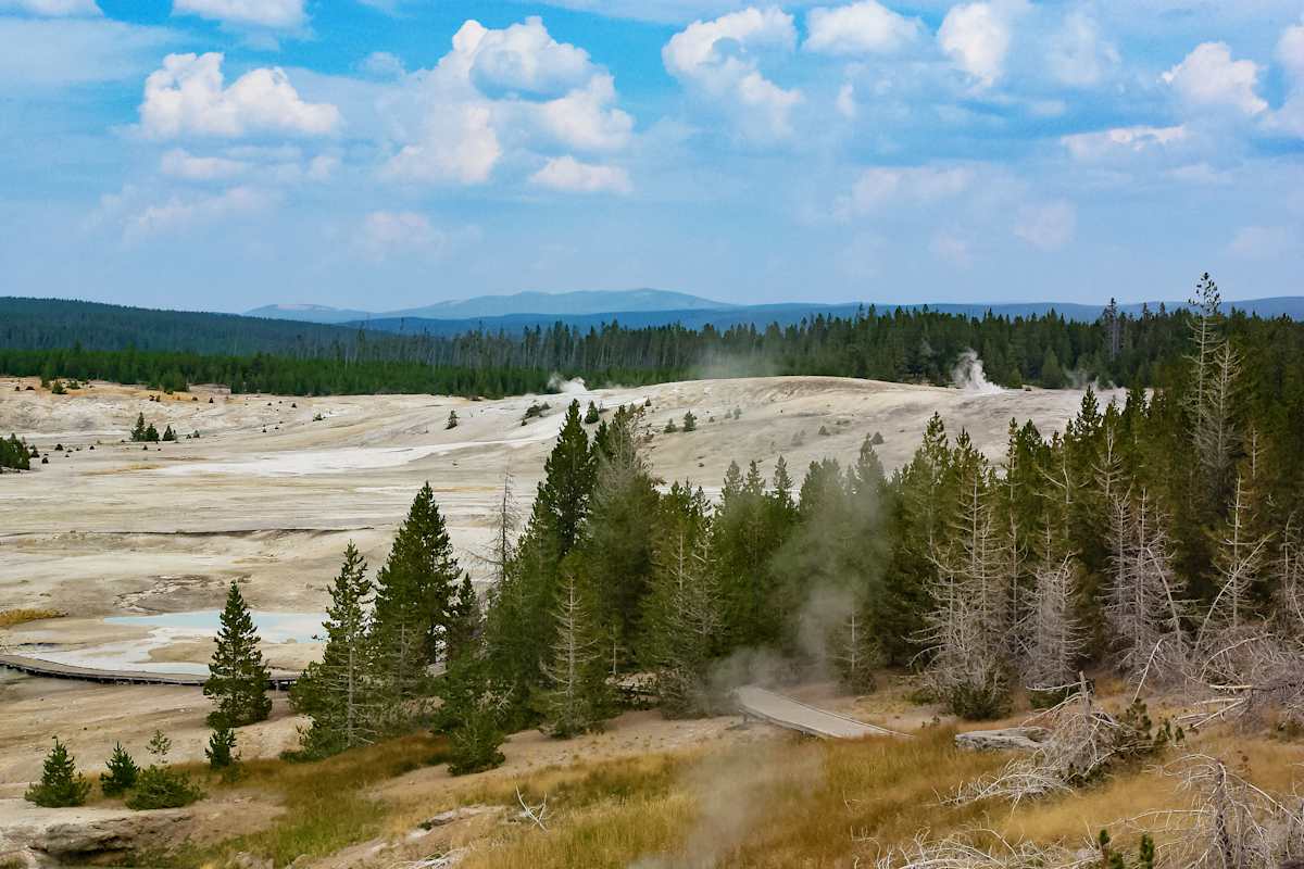 Norris Geyser Basin Morning #3 by Rodney Buxton 