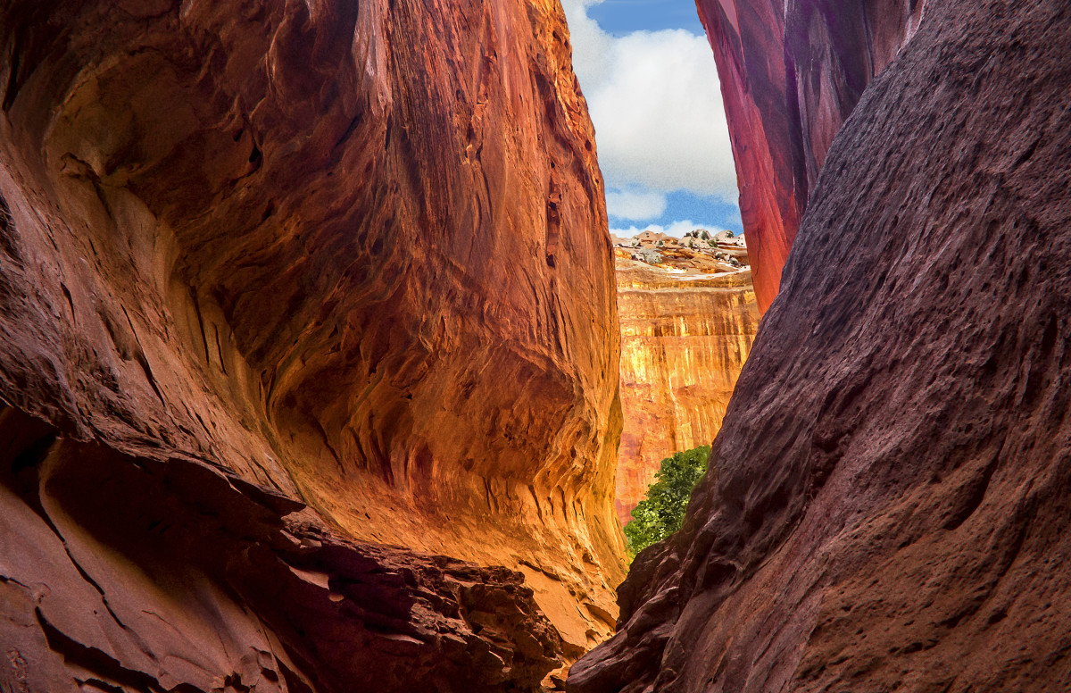 Slot Canyon in  Rattlesnake Bench Late Morning by Rodney Buxton 