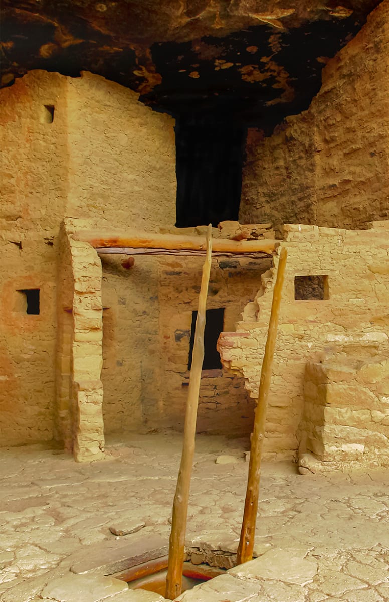 Spruce Tree House #2 by Rodney Buxton, Image 1.