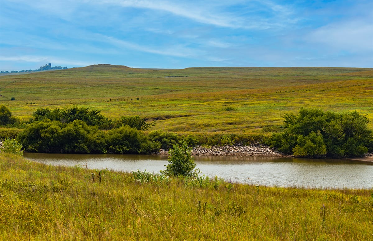 Tallgrass Prairie Afternoon #2 by Rodney Buxton 