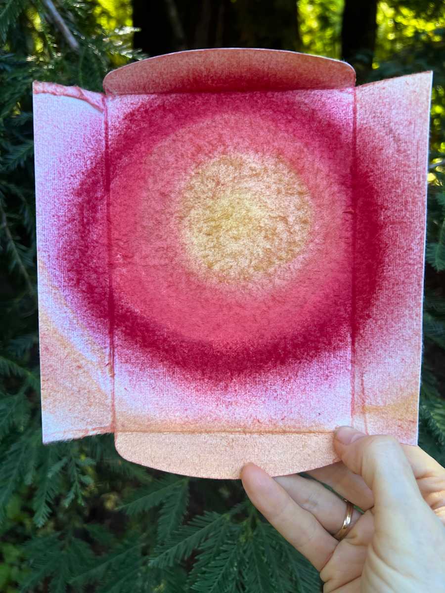 Ascension by Sherri Silverman 