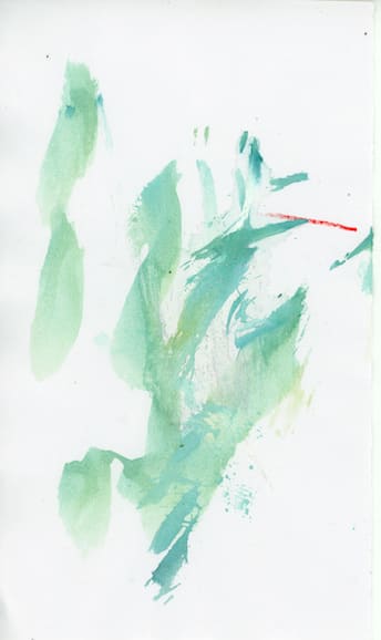 Markings, Flowering by Sherri Silverman 