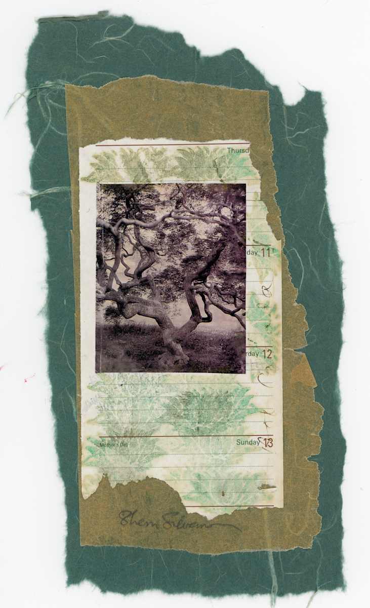 Oak Collage by Sherri Silverman, Image 1.