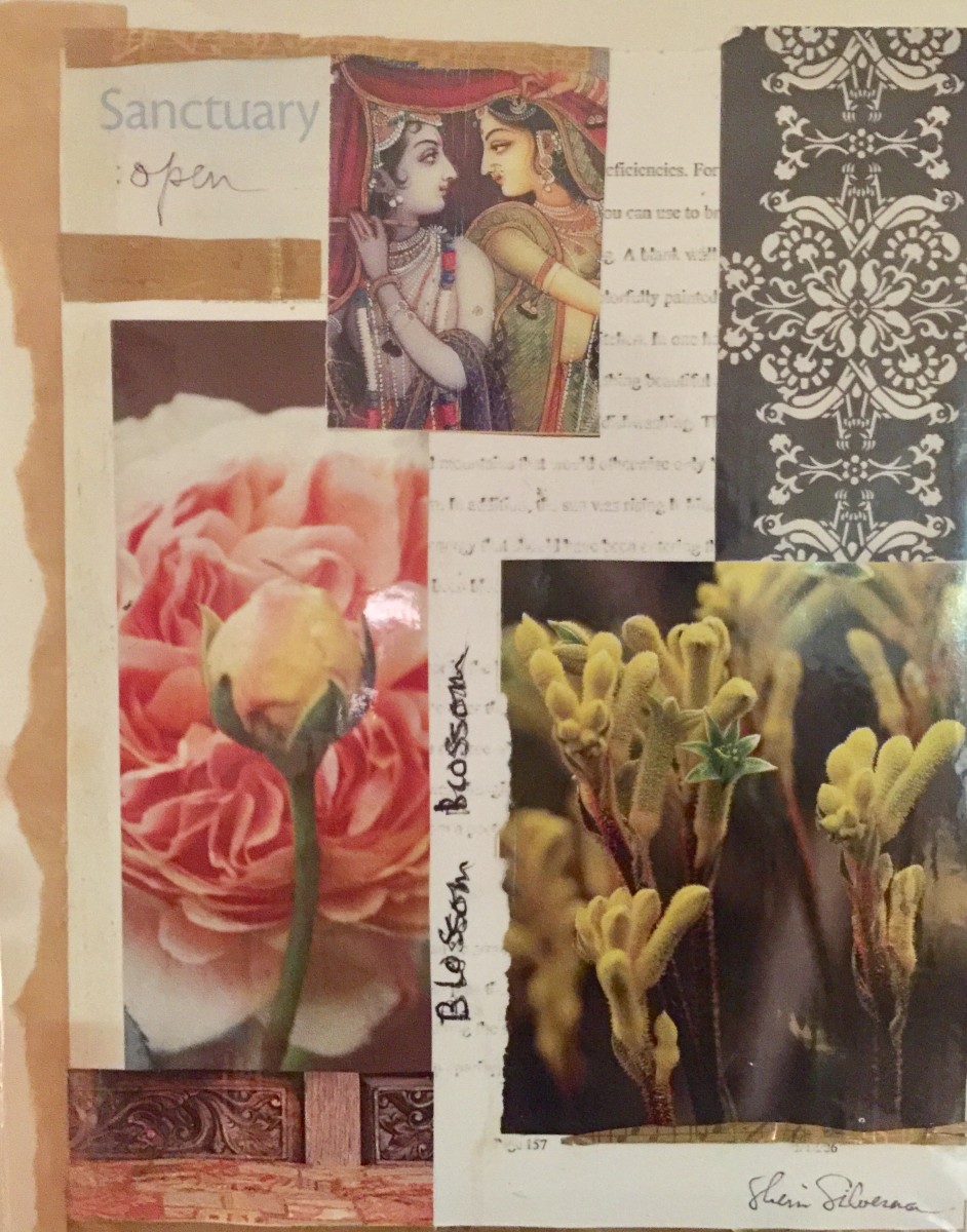 Blossom Blossom by Sherri Silverman 