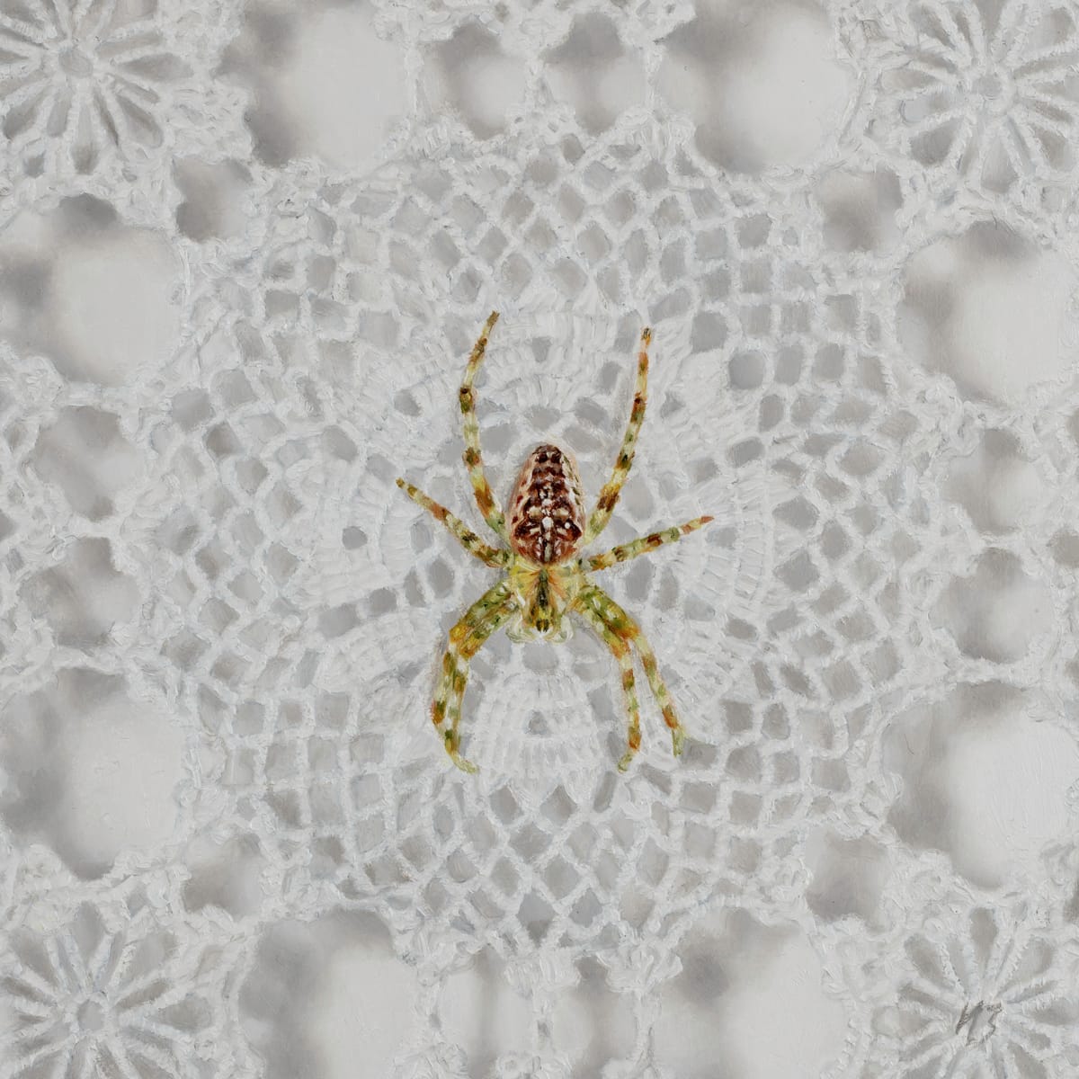 Crochet Spider by Narelle Zeller 