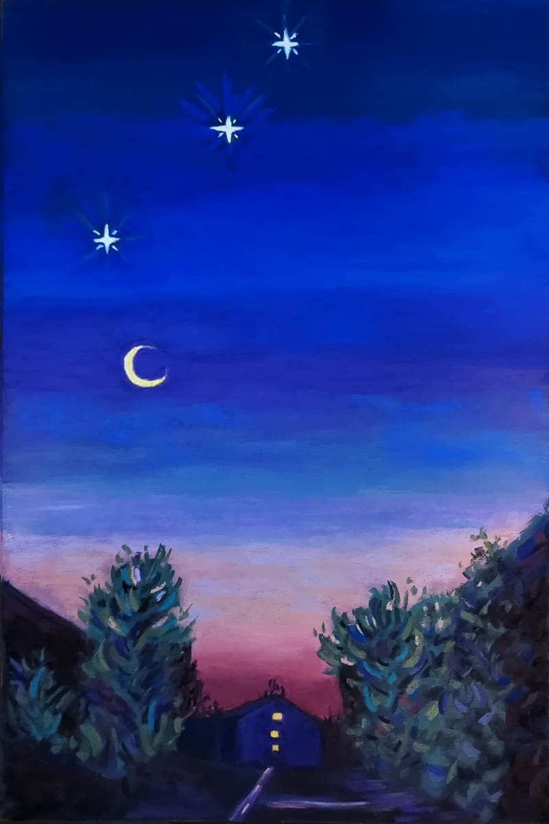 EMPTY SPACES  FULL OF STARLIGHT by HEIDI KIDD, Image 1.