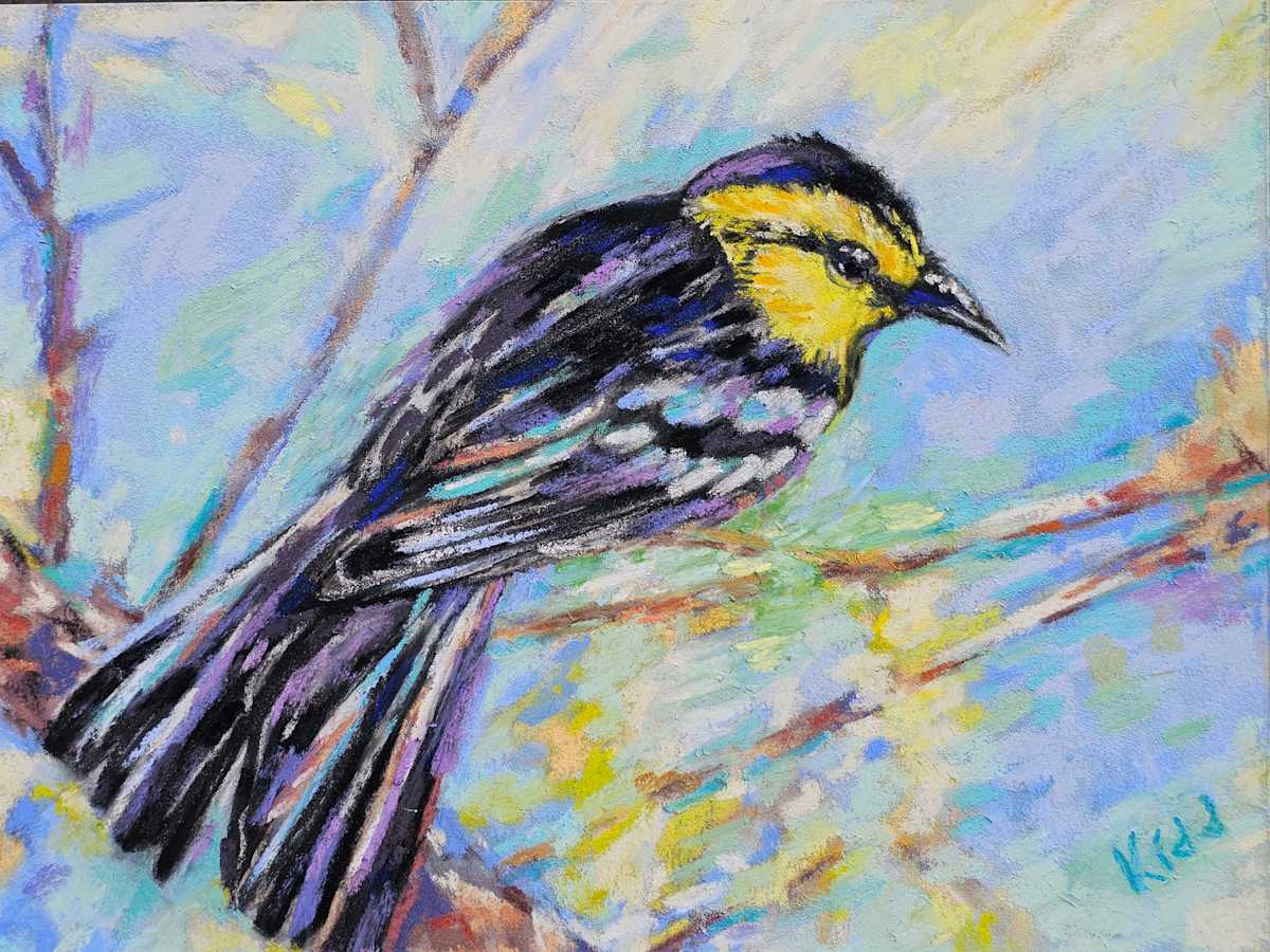 Texas Golden-cheeked Warbler by HEIDI KIDD, Image 2.