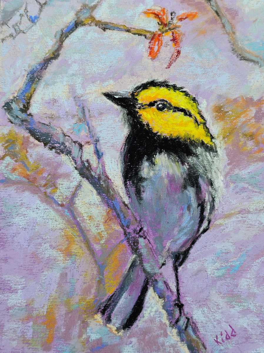 Golden Cheeked Warbler Endangered by HEIDI KIDD 