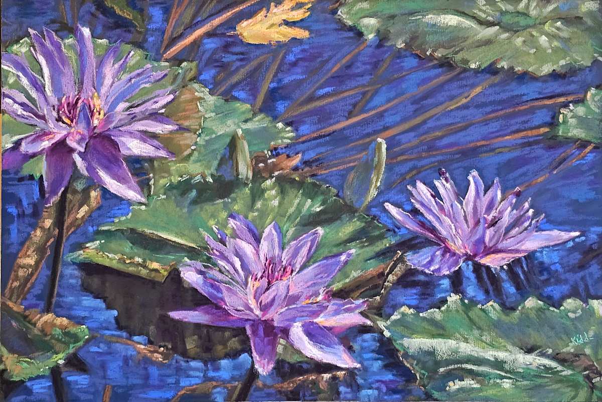 Lilac Water lilies by HEIDI KIDD 