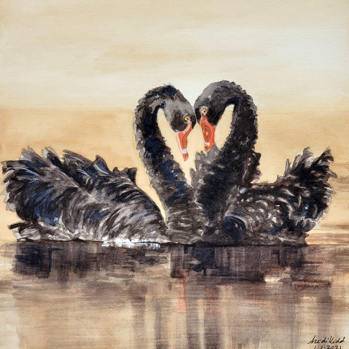 Black Swans by HEIDI KIDD 