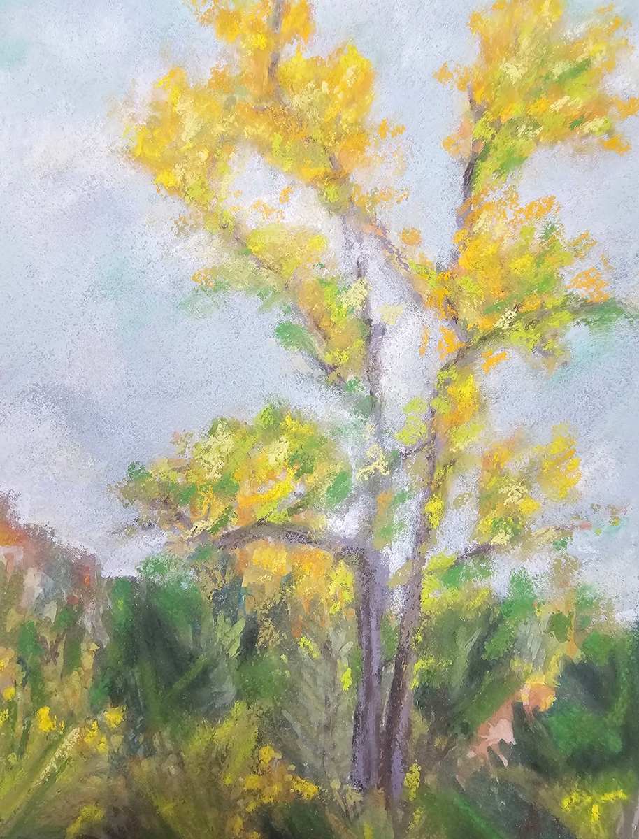 Fall at Ghost Ranch by HEIDI KIDD, Image 2.