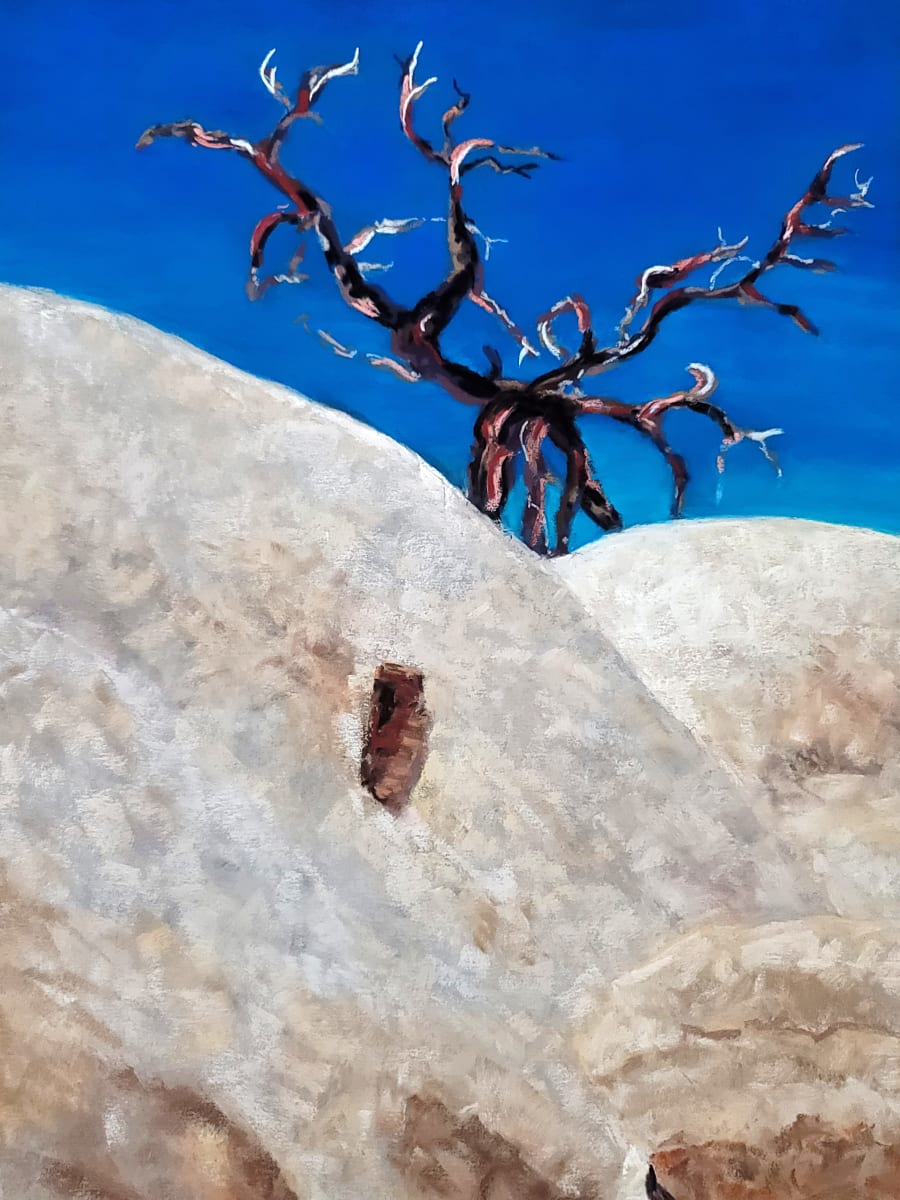 Root's and Rocks by HEIDI KIDD  Image: Root's and Rocks