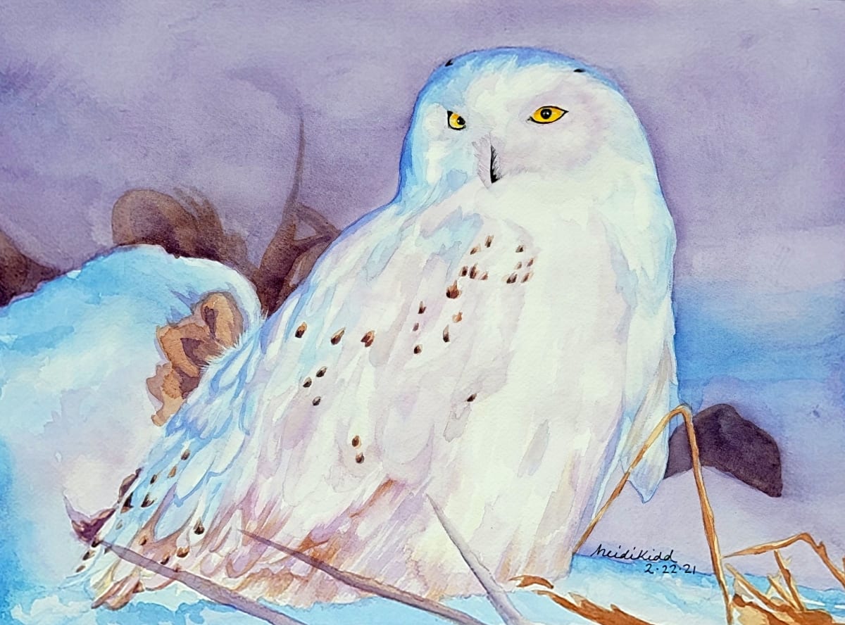 Snowy Owl in Winter 