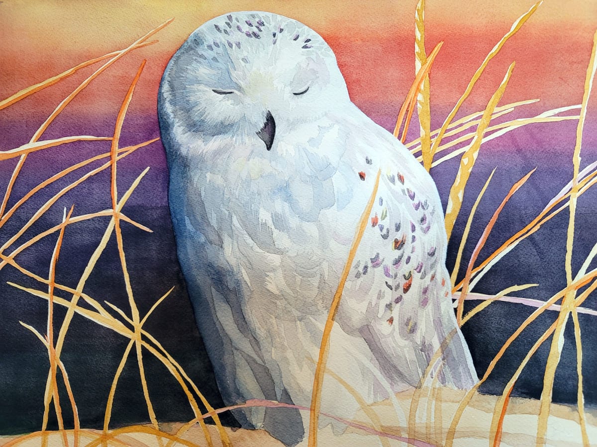 Sunrise Snowy Owl 