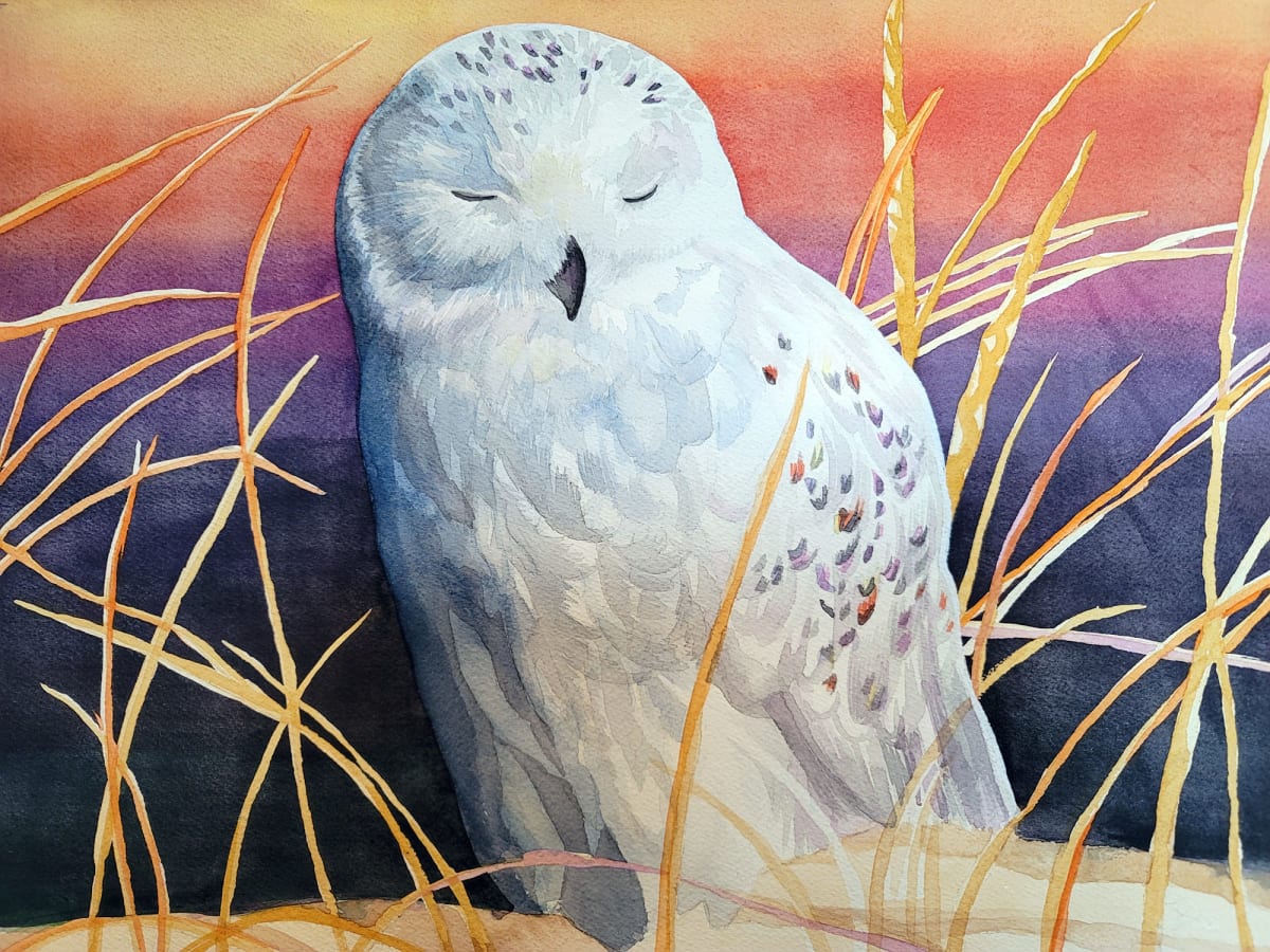 Sunrise Snowy Owl by HEIDI KIDD 