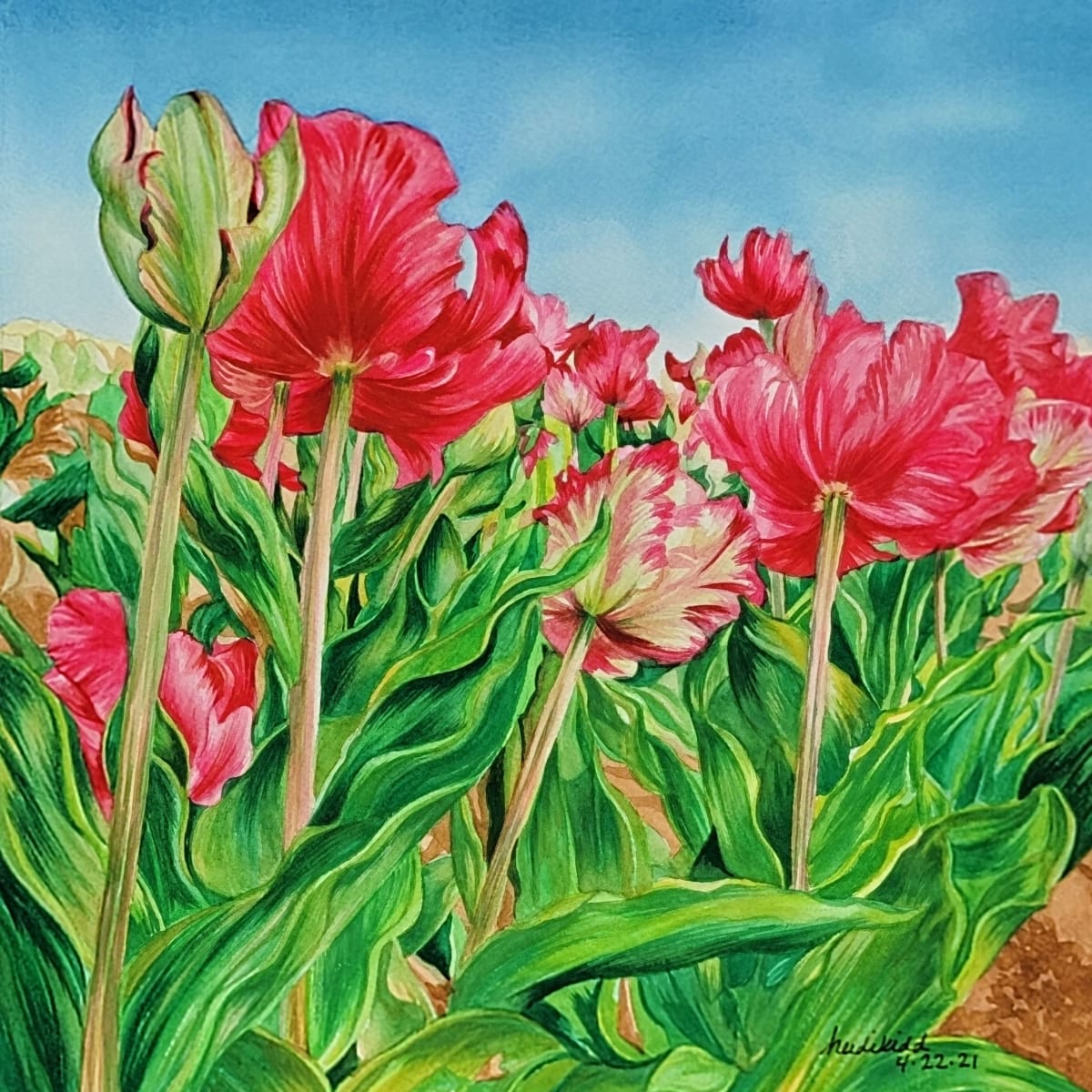 Texas Tulips Two by HEIDI KIDD 