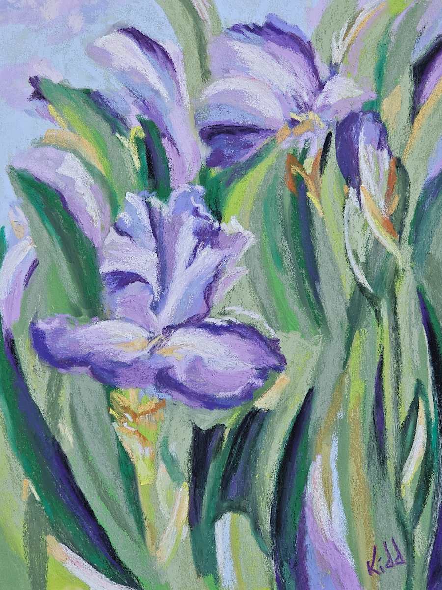 Waltz of The Irises by HEIDI KIDD 