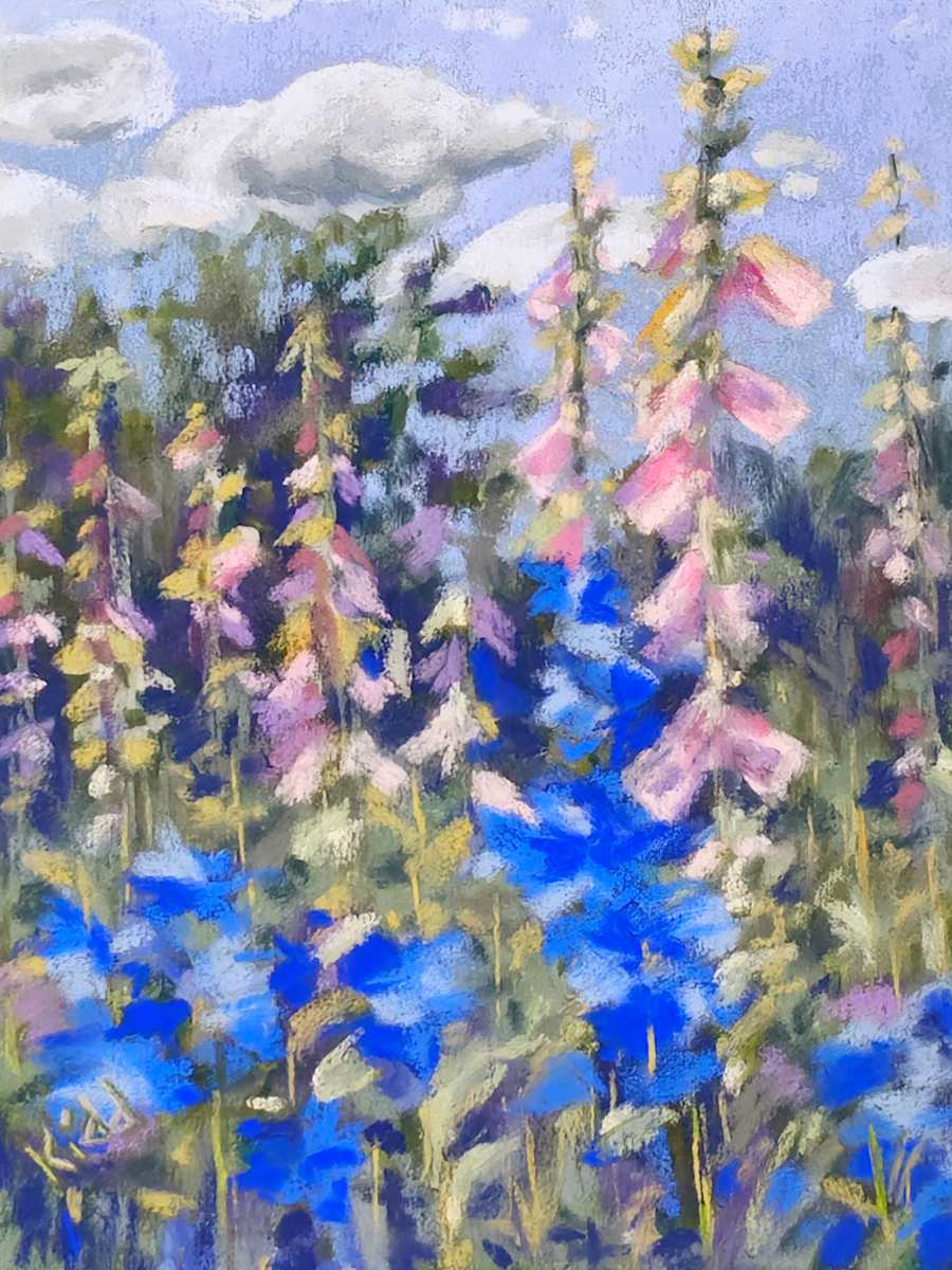 Wildflowers in May by HEIDI KIDD, Image 1.