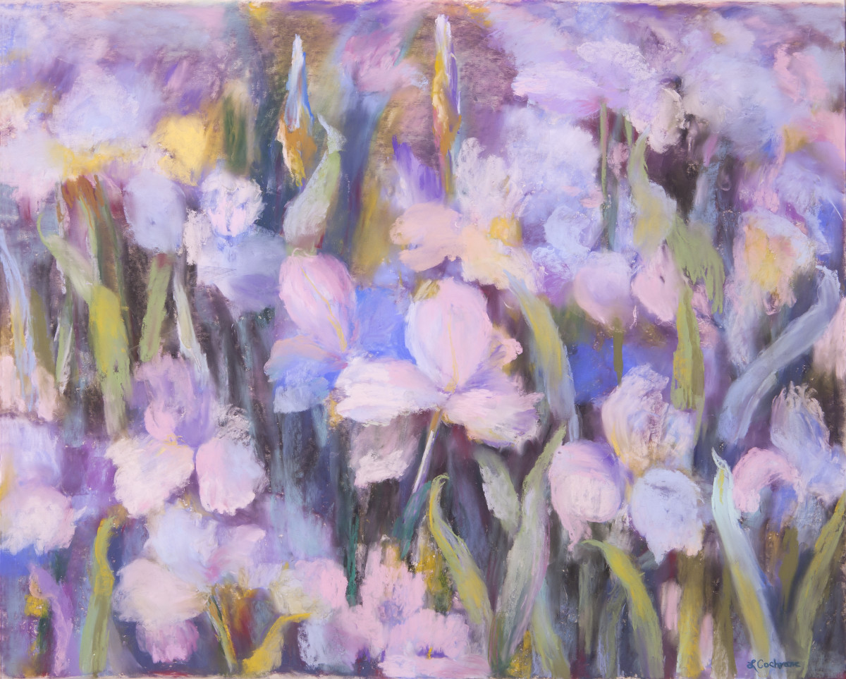 Iris by Louise B. Cochrane 