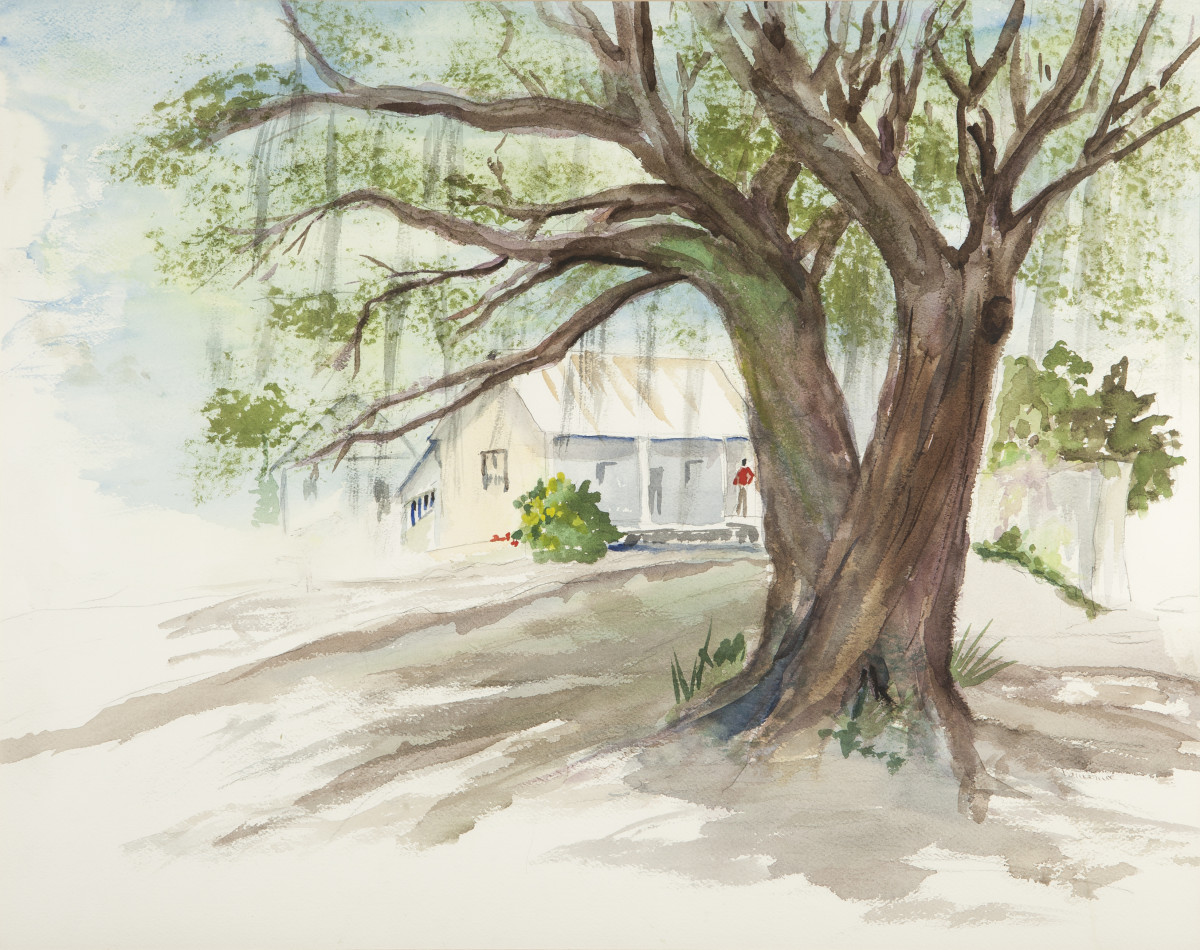 Live Oak by Katherine Long 