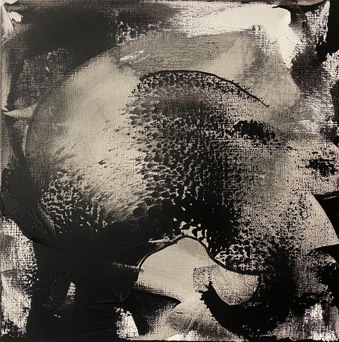 Scrape Away by Alice Lipping 