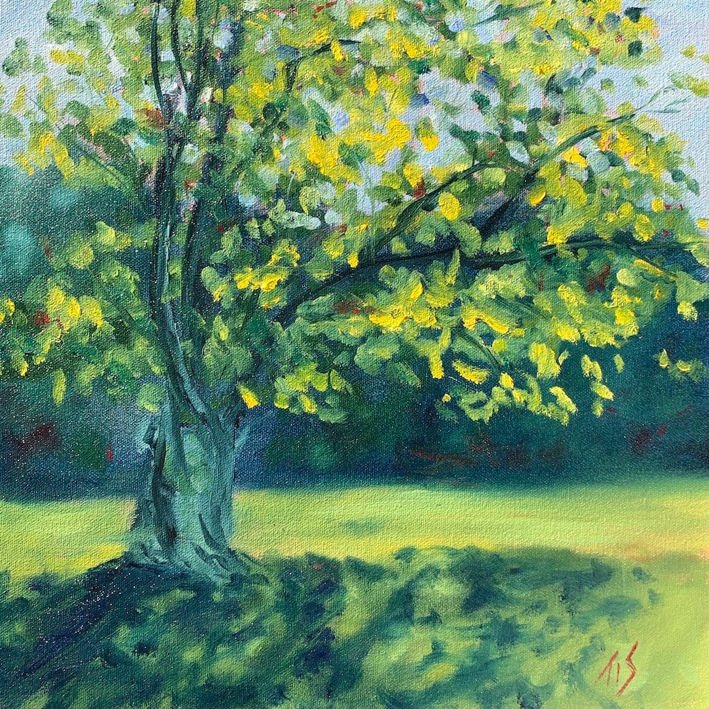 Ancient Tree at Ayr Mount (study) 36.07884N 79.08567W by Thomas Stevens 