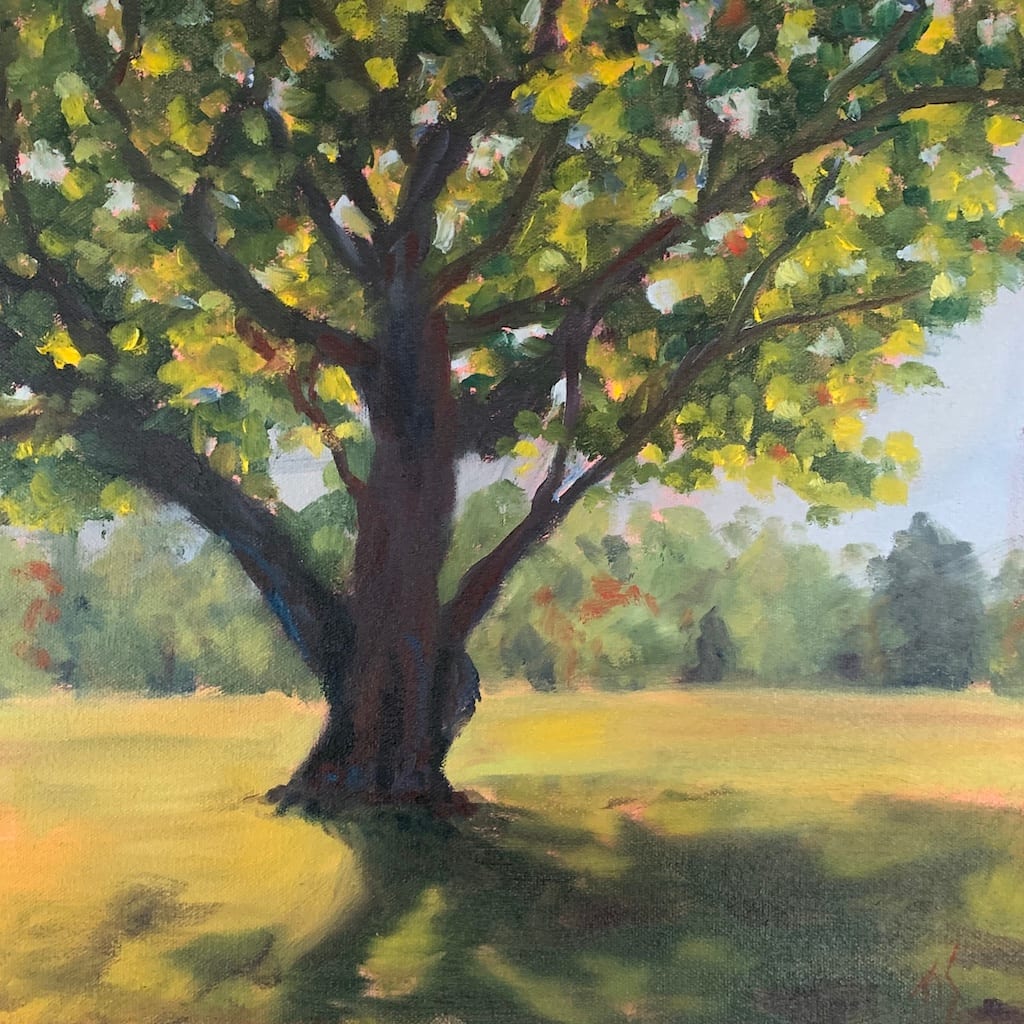 Ancient Tree at Ayr Mount (study) 36.07867N 79.0840W 