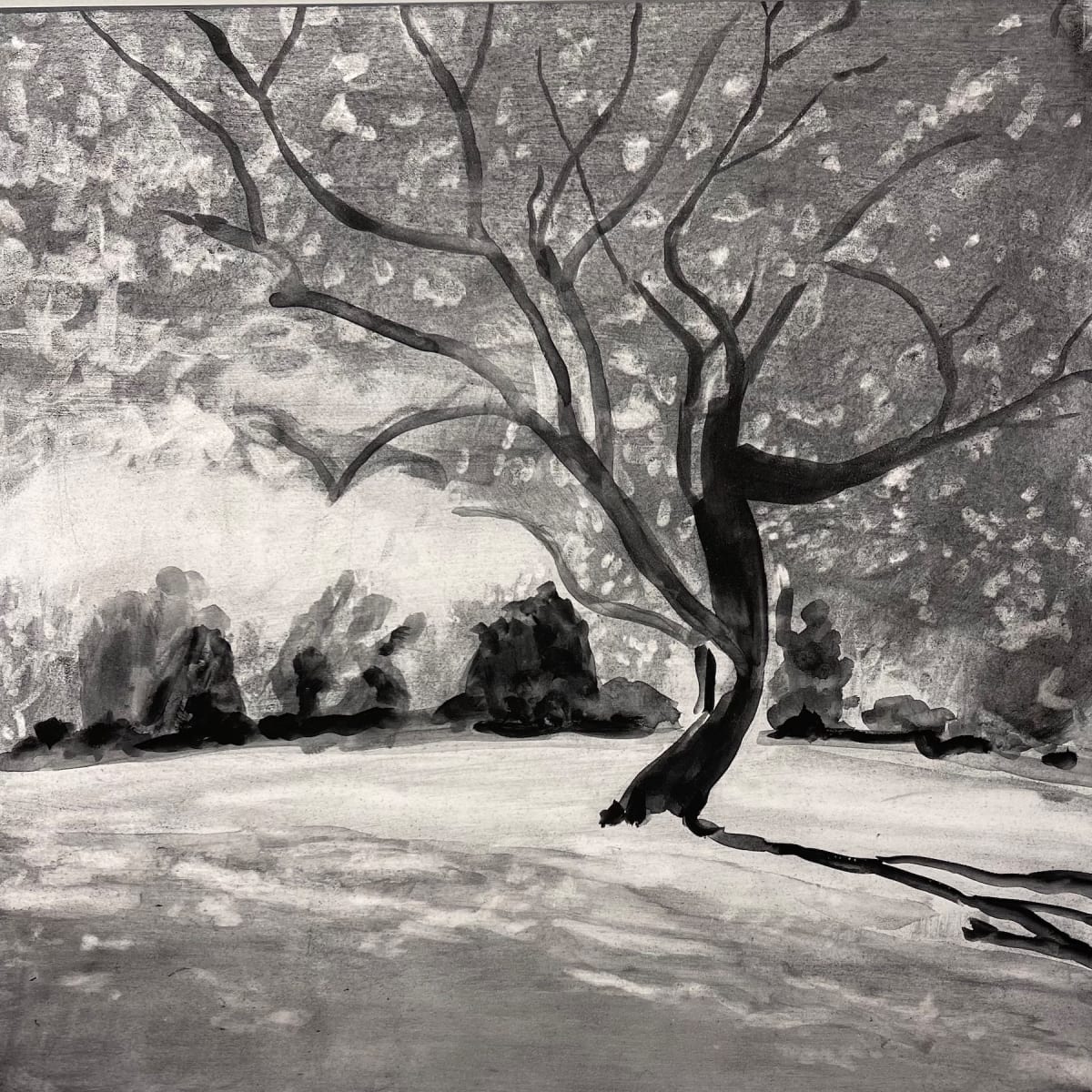 Ayr Mount Tree II  36.0787N 79.0840W by Thomas Stevens, Image 1.