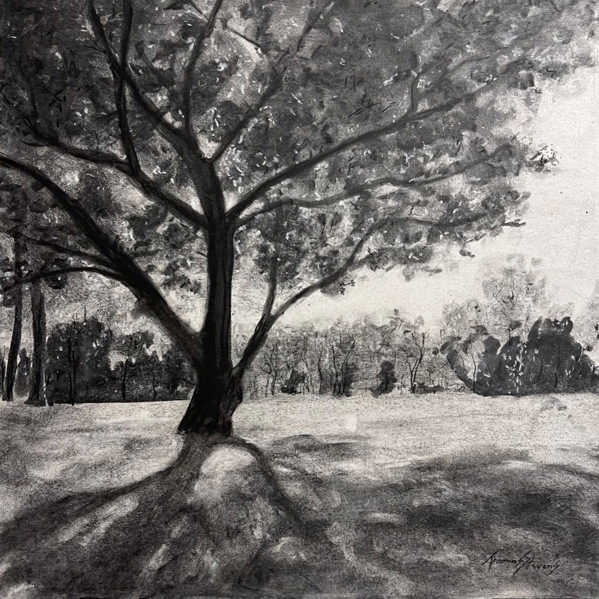 Ayr Mount Tree I  36.0788N 79.0840W by Thomas Stevens 