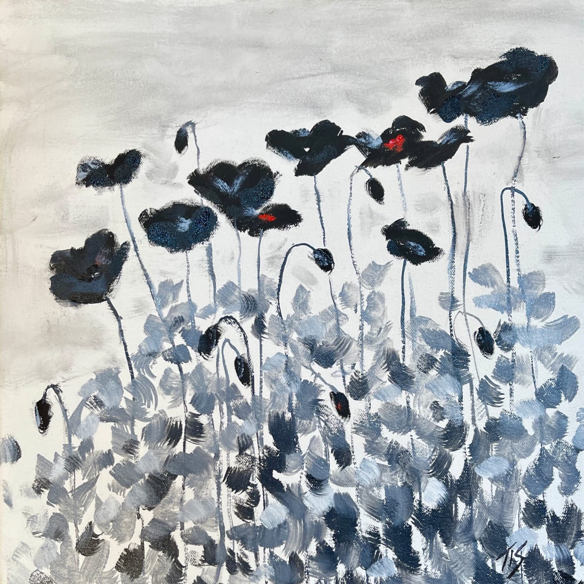 Black Poppies by Thomas Stevens 