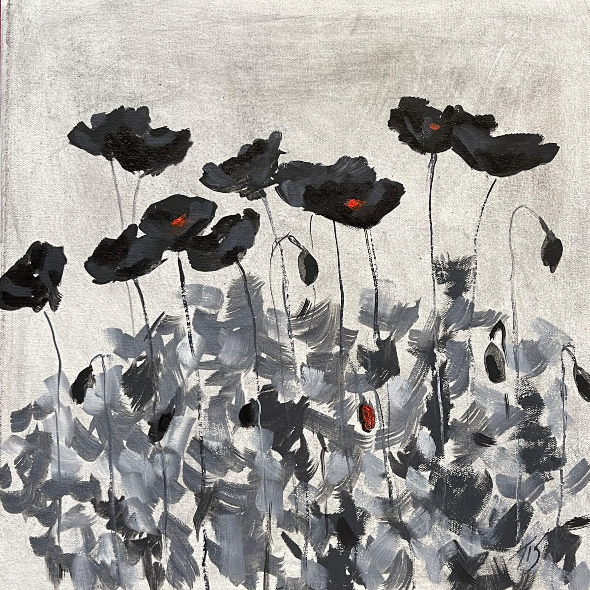 Black Poppies by Thomas Stevens 