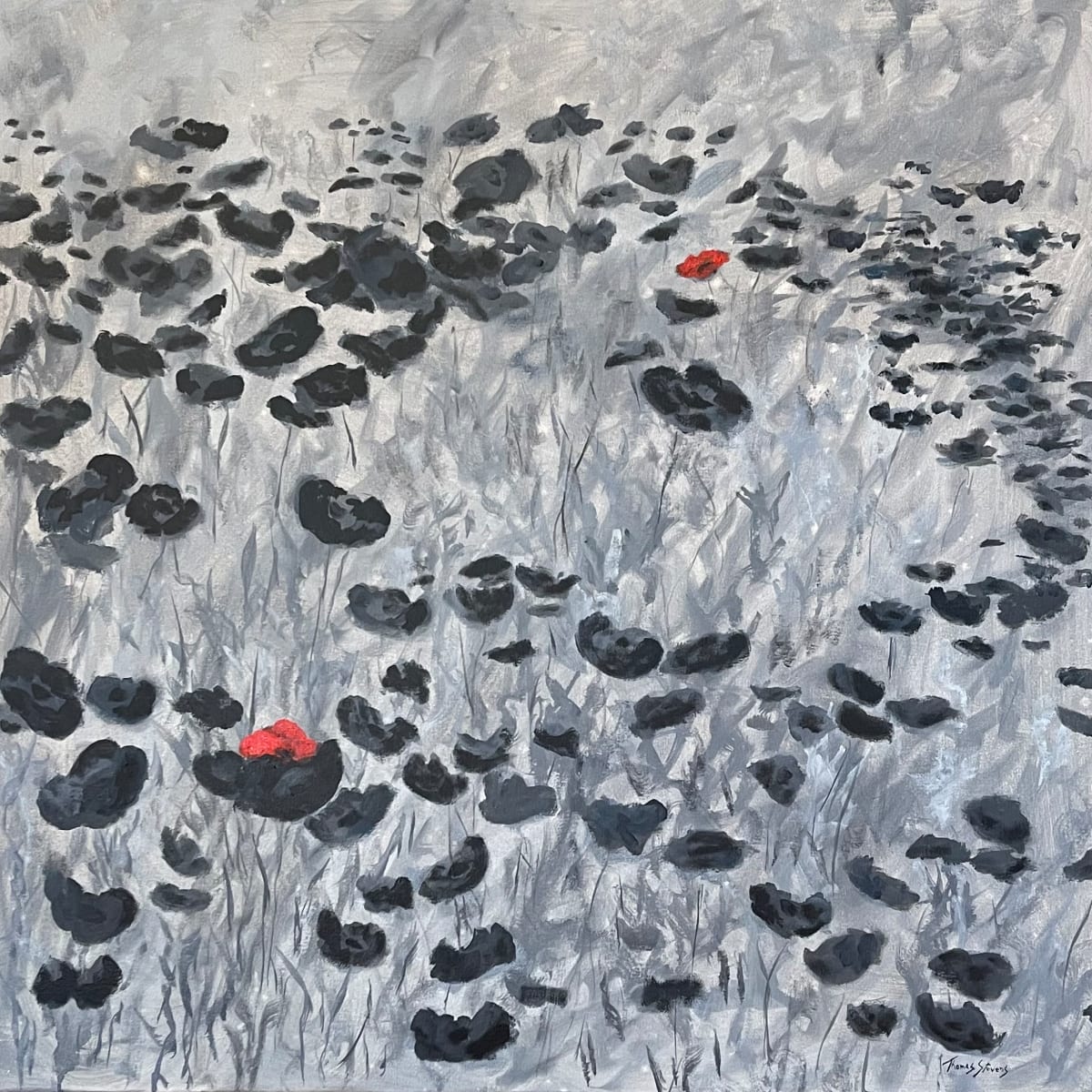 Black Poppies by Thomas Stevens 