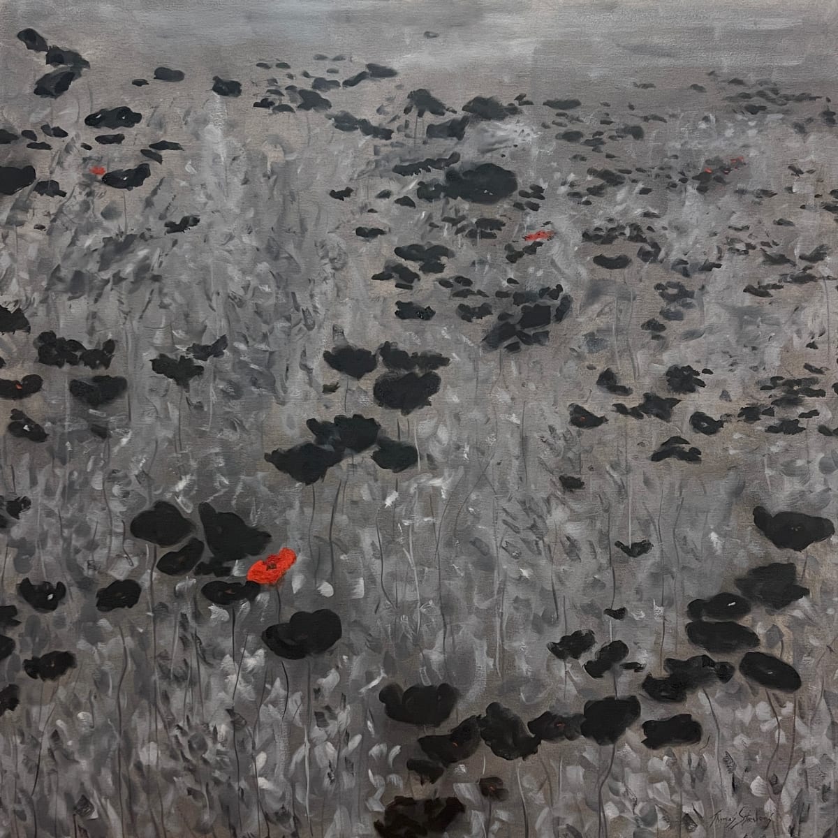 Black Poppies by Thomas Stevens 