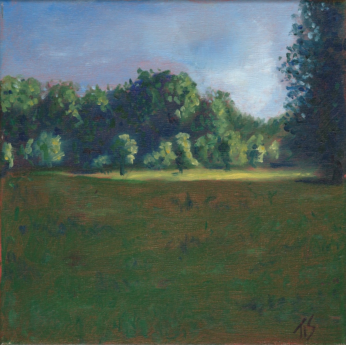 Burnside Field (study)  36.071789N 79.095697W 