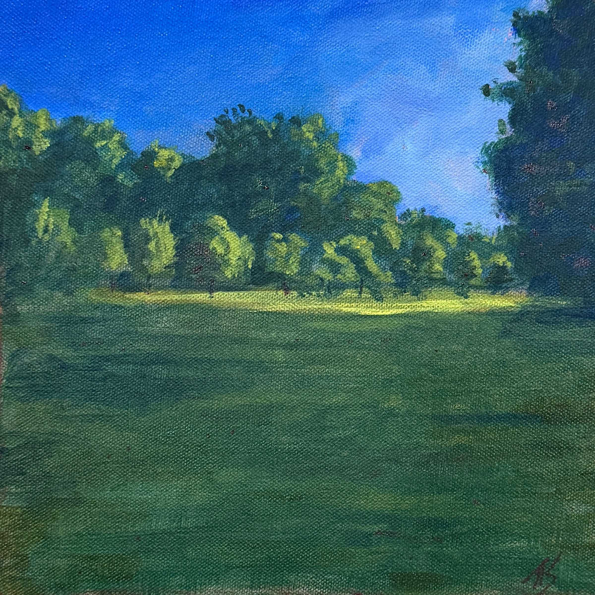 Burnside Field by Thomas Stevens, Image 1.