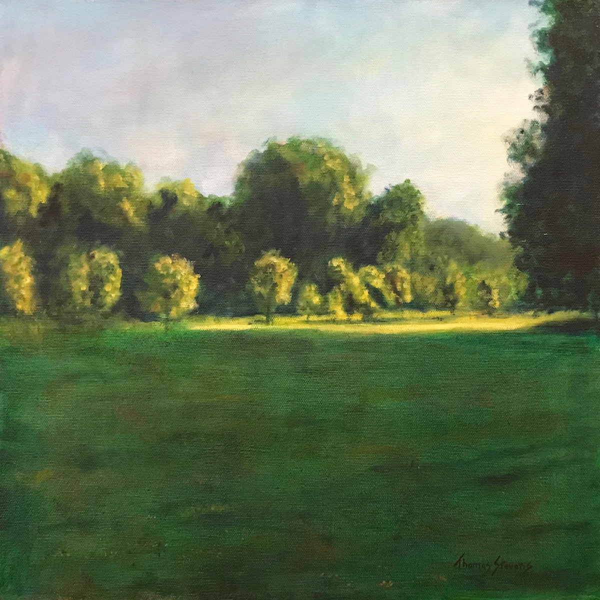 Burnside Field   36.071789N 79.095697W  (16) by Thomas Stevens 