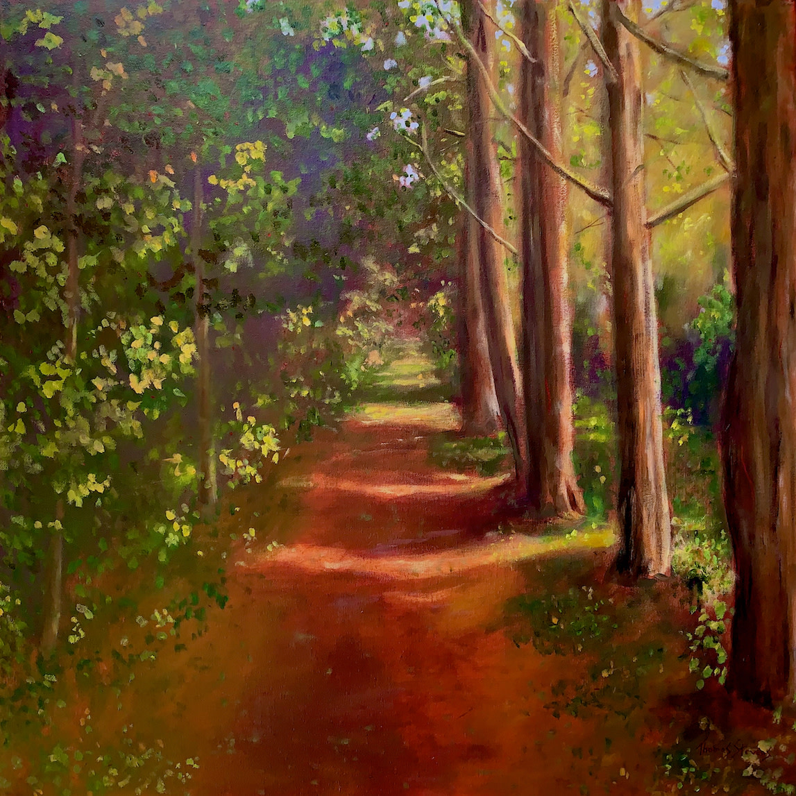 Cedar Walk Ancients (Cedar Walk Series) 36.074497N  79.100883W by Thomas Stevens 