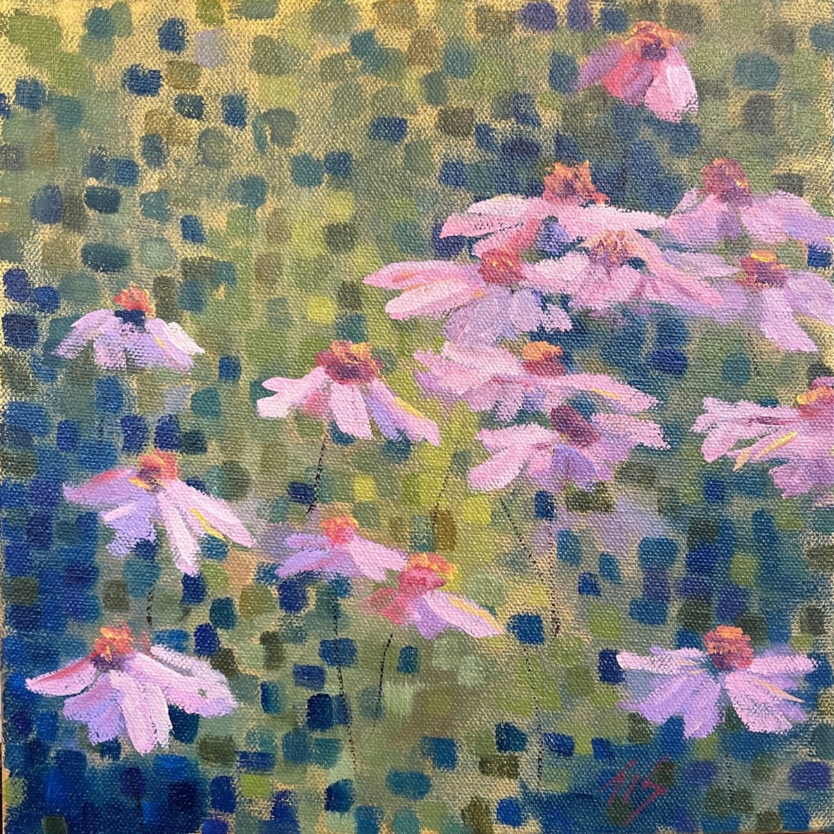 Coneflowers Sketch by Thomas Stevens 