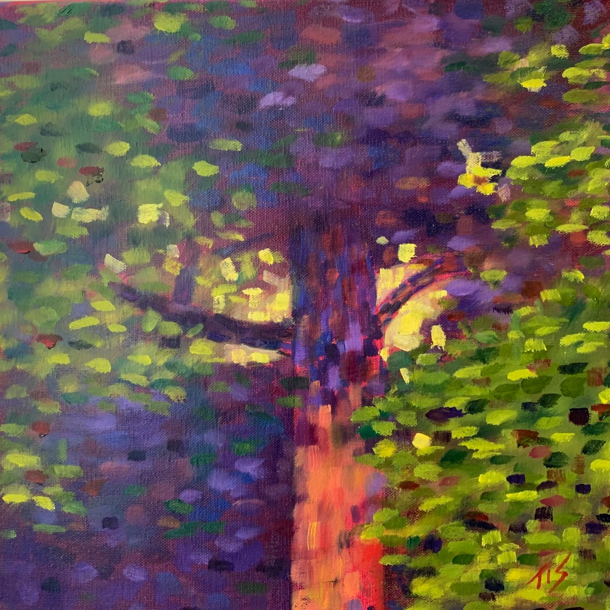 Creekside Maple  36.07663N 79.10364W, Image 1.