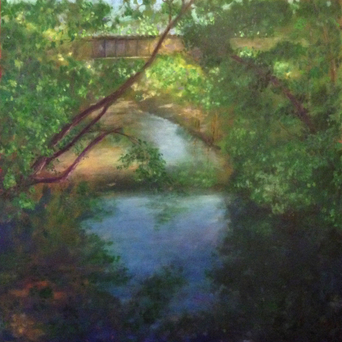 Riverwalk Bridge View West   36.072215N 79.10852W by Thomas Stevens 