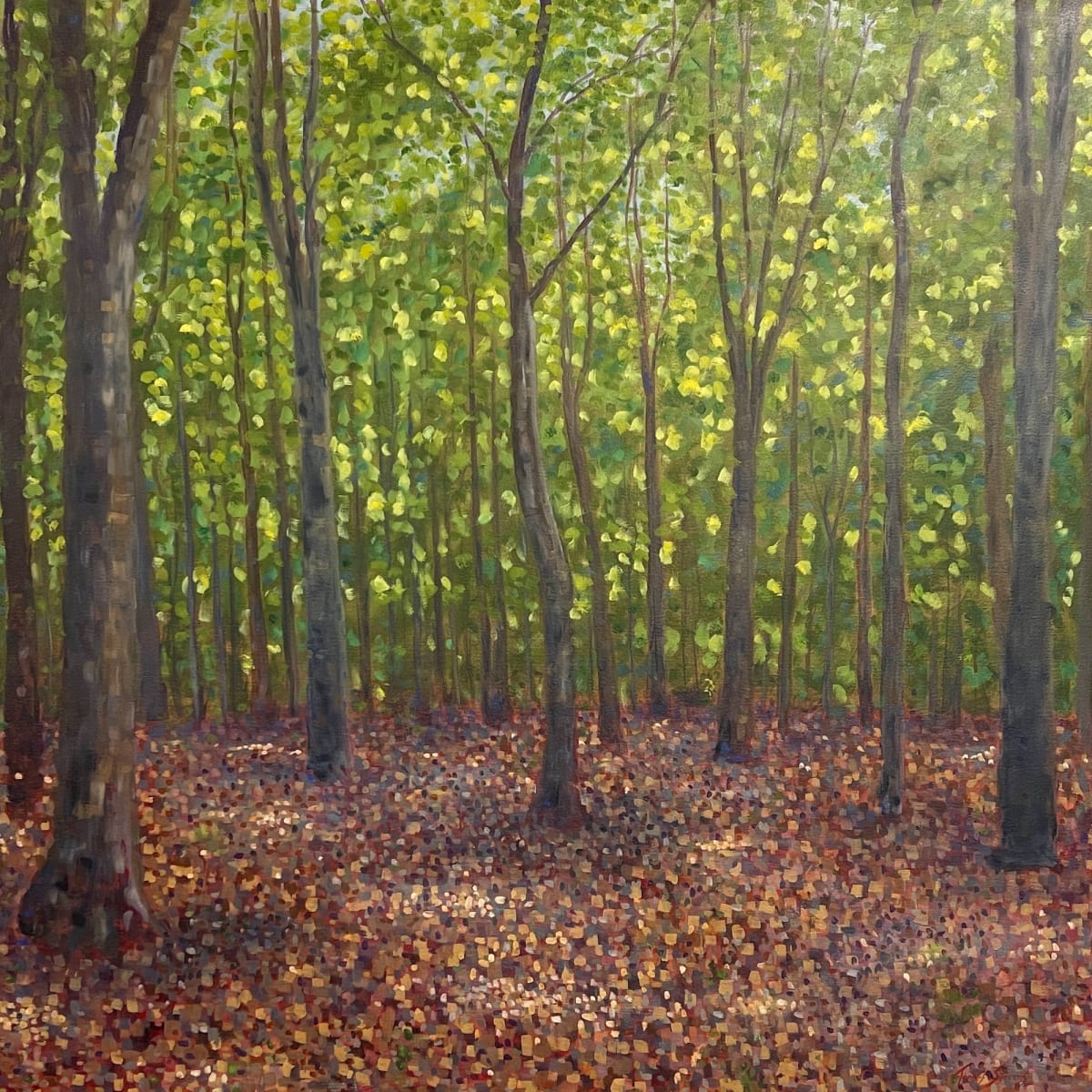 Eno River Trail View 36.07145N 79.01634W by Thomas Stevens 