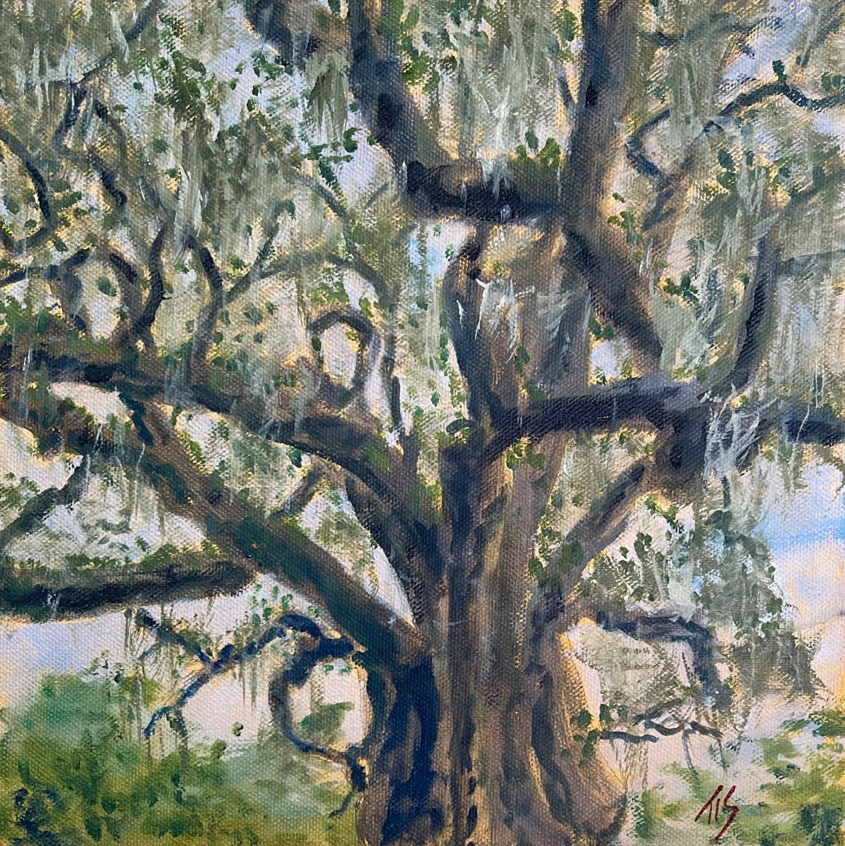 Its Rooted Place Swaying by Thomas Stevens 