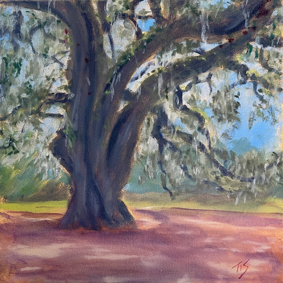 As All Oaks Are One Oak by Thomas Stevens  Image: Airlie Oak, Wilmington NC  34.214169N 77.829330W